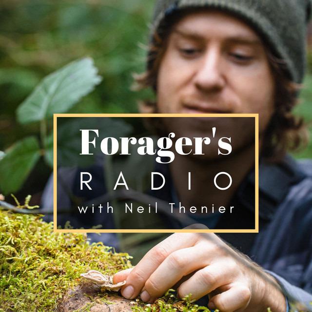 Foragers Kingdom: Herbalism 101 with Shannon Mulligan-Mayernik