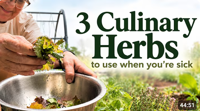How to Use Culinary Herbs for Natural Wellness and Cold & Flu Season with Shannon Mayernik