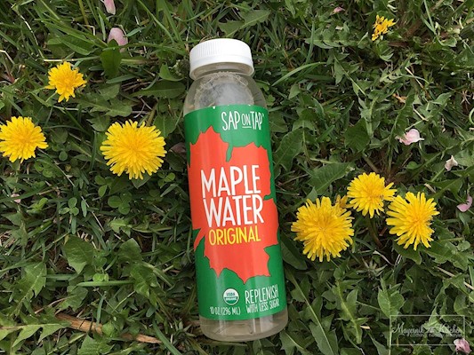 Sap on Tap – Maple Water – New Jersey