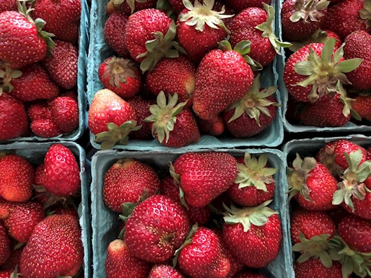 Strawberry Haul 2018 Edition – New Jersey – Mayernik Kitchen