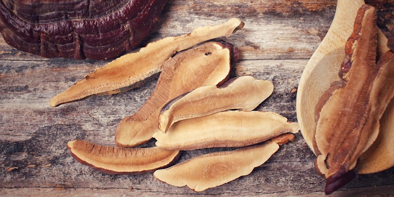 What is an adaptogen and how can it help me?