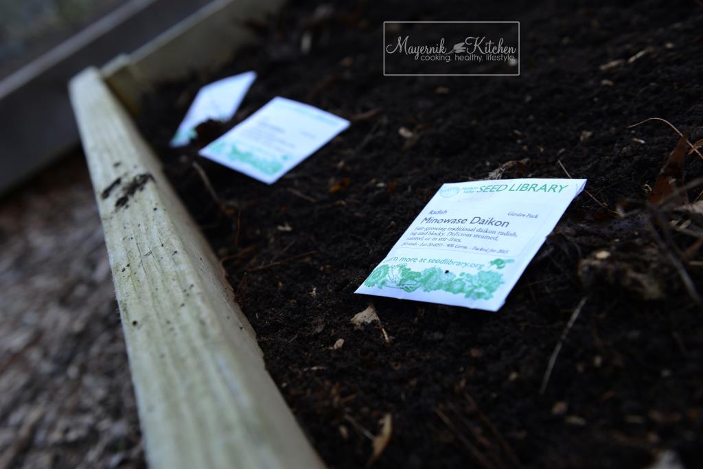 First Planting in Mayernik Garden 2015 - Northern New Jersey