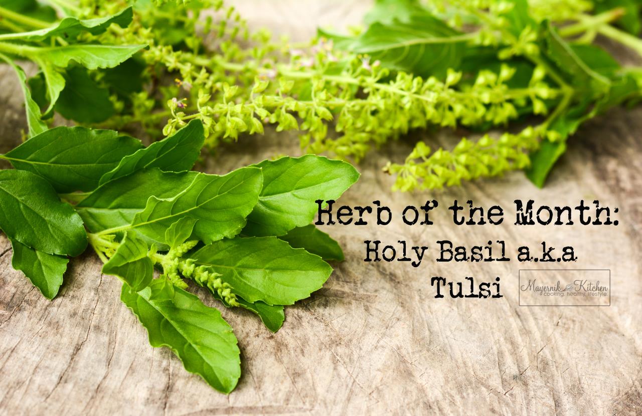 Herb of the Month - Holy Basil - Mayernik Kitchen