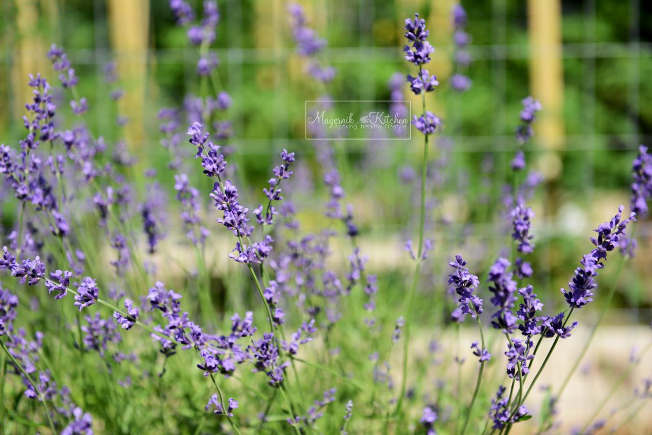 Herb of the Month - Lavender - Mayernik Kitchen