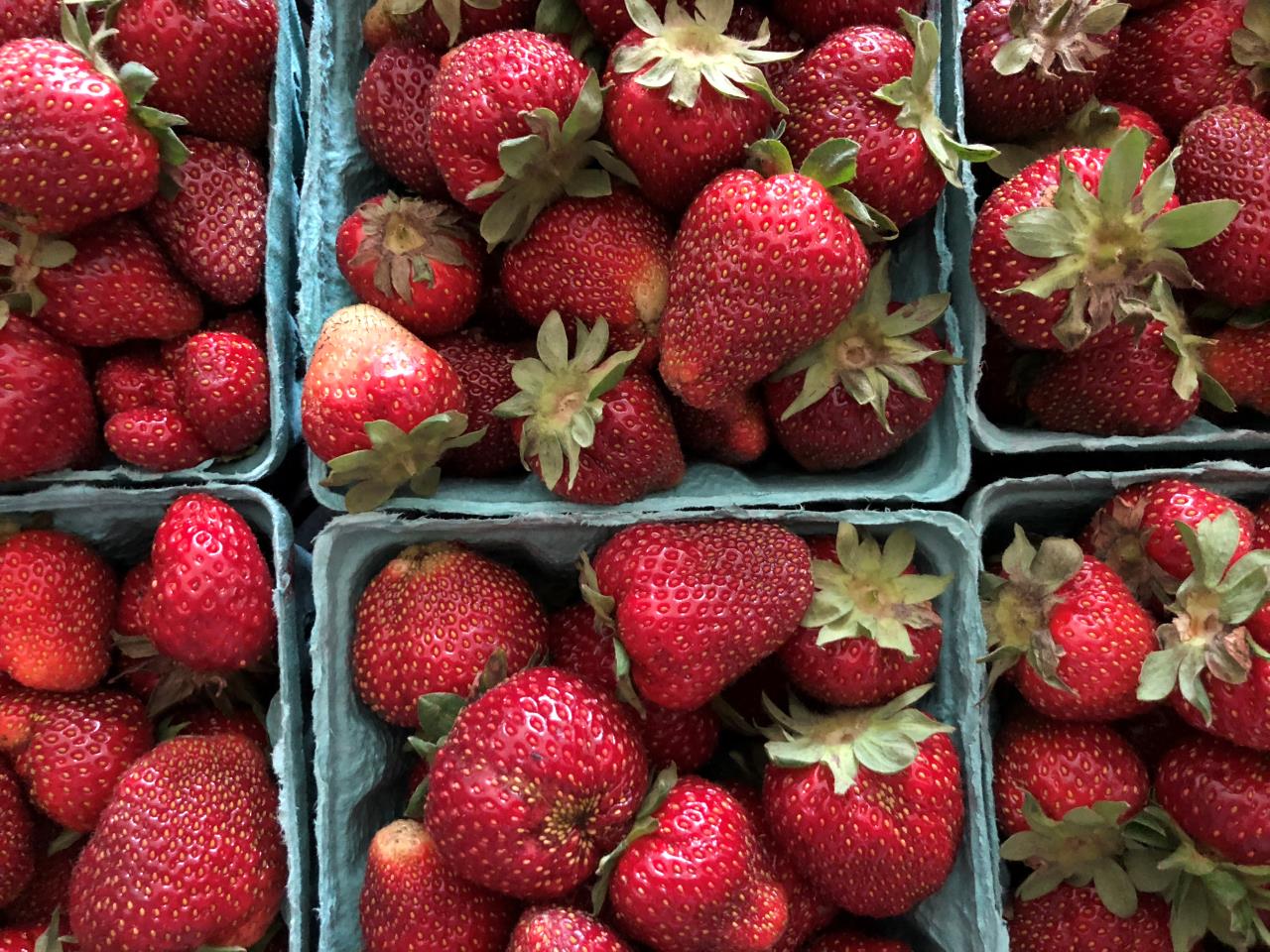 jersey strawberries