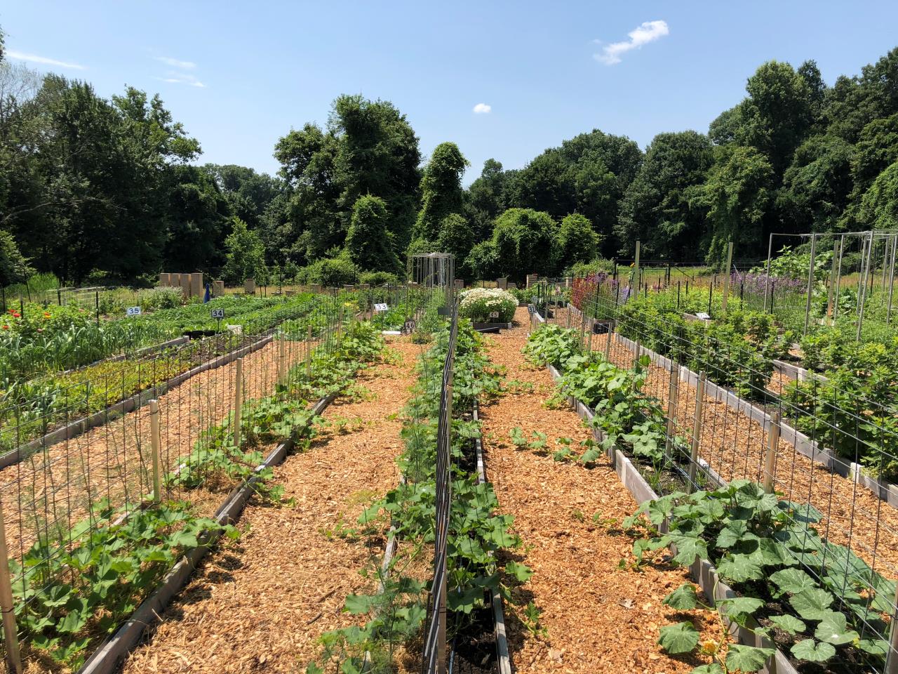 Morgan’s Farm Stand – Cedar Grove, New Jersey