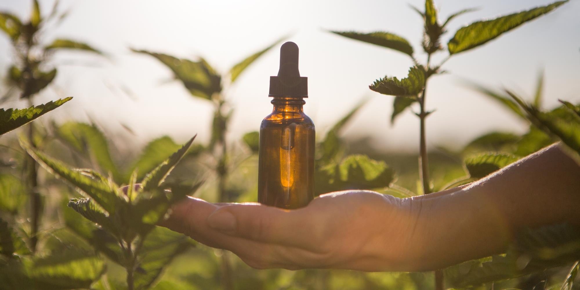 5 Tinctures that can be used daily