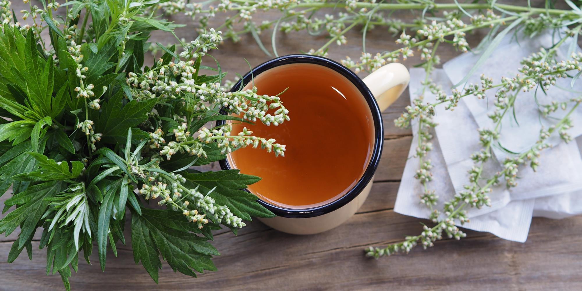 Can you drink Mugwort tea?