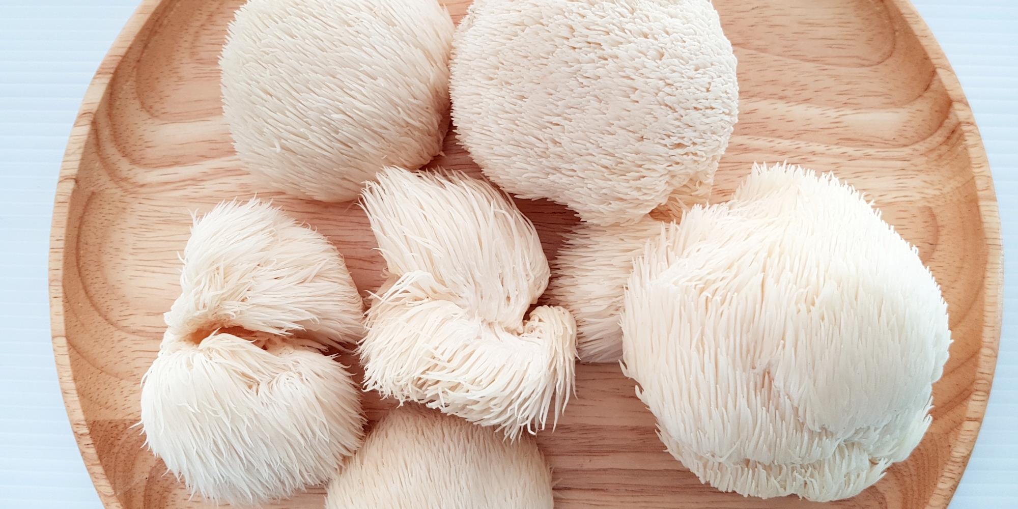 How should I use Lion’s Mane Mushroom?