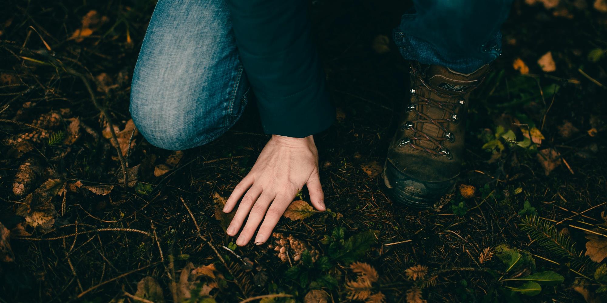 What is Forest Bathing and how will it benefit my health?