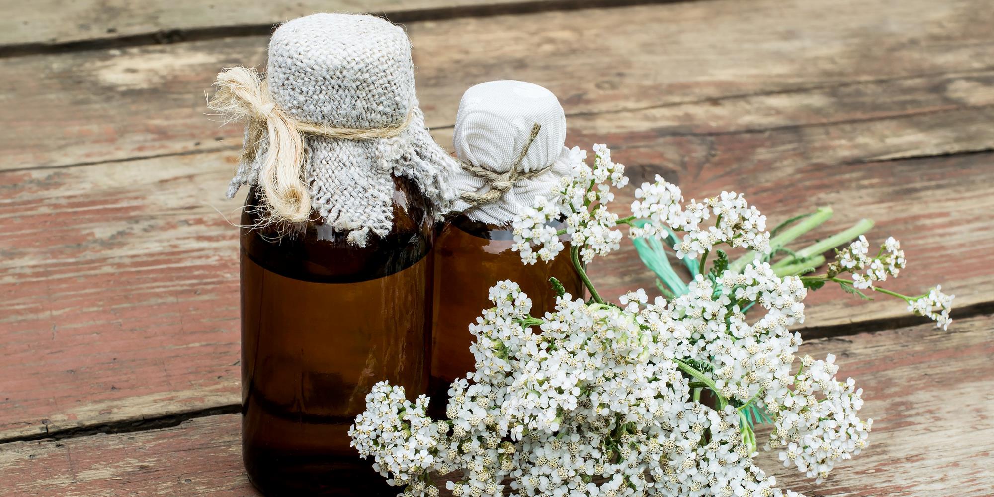 All things Yarrow! Learn the Benefits!