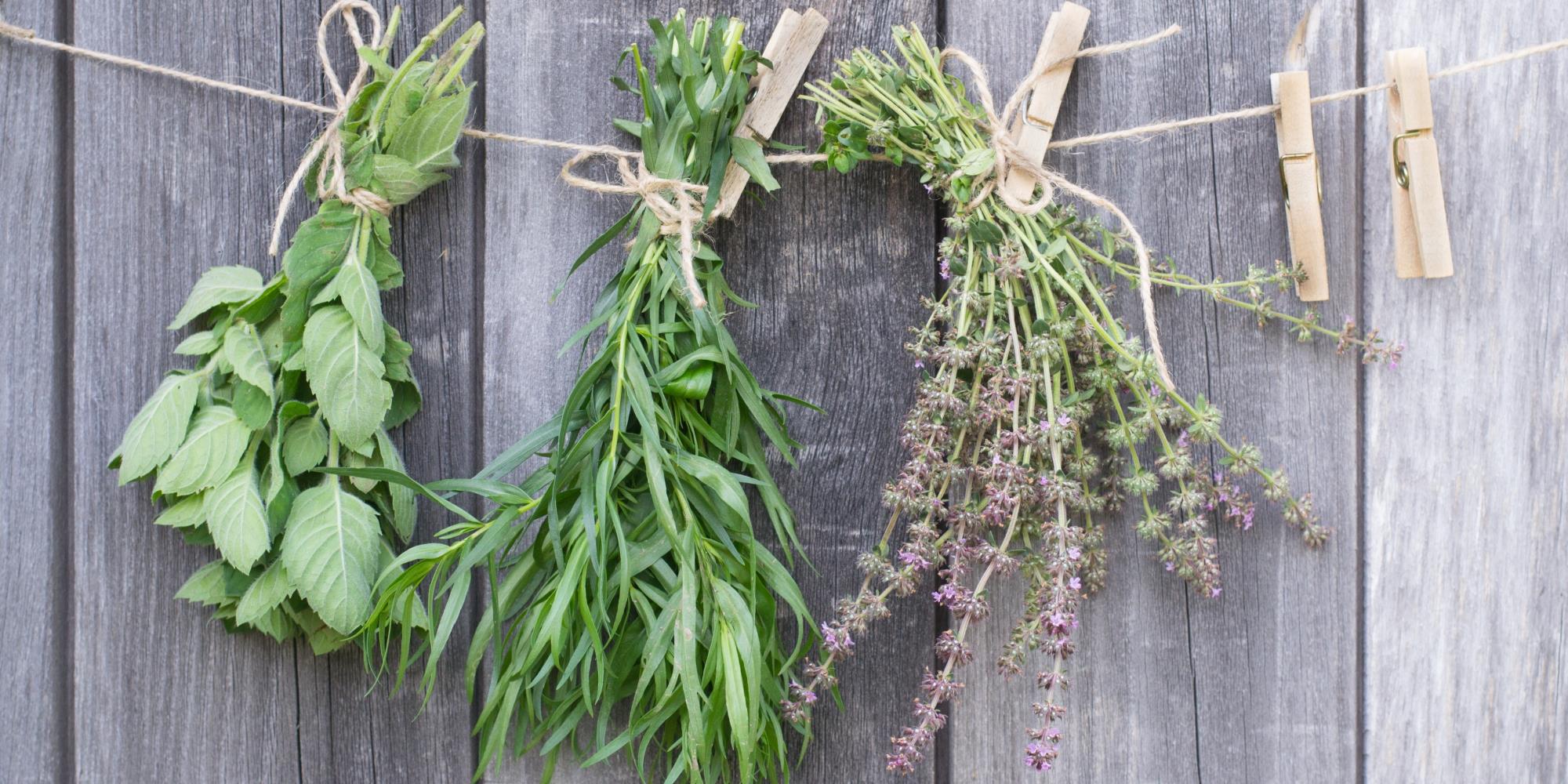 Preserving Herbs