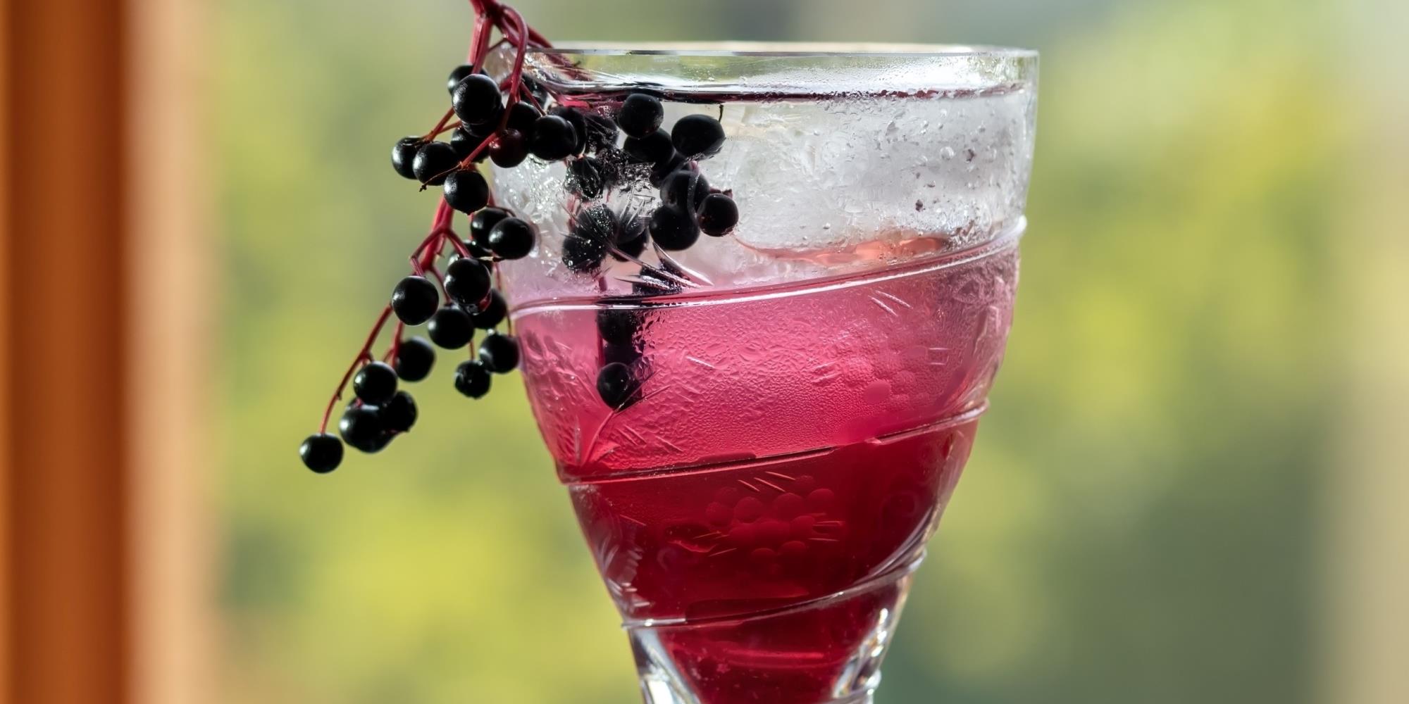 Holiday Elderberry Ginger Cocktail