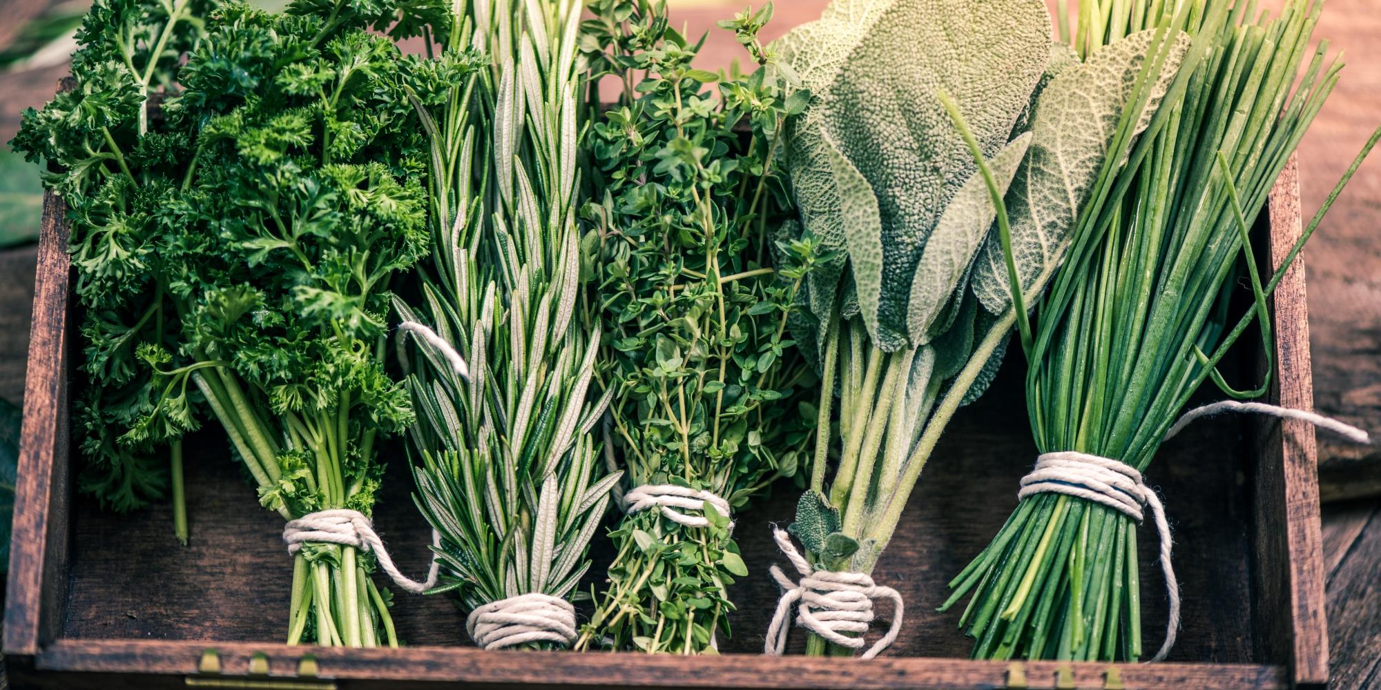 Our Top 5 Spring Kitchen Herbs