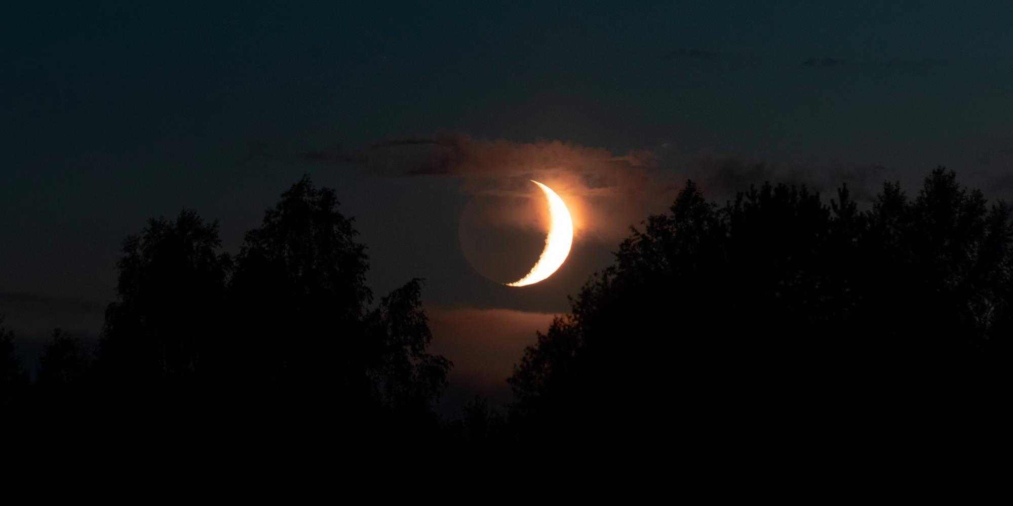 Three Herbs to Use While Working with the Phases of the Moon