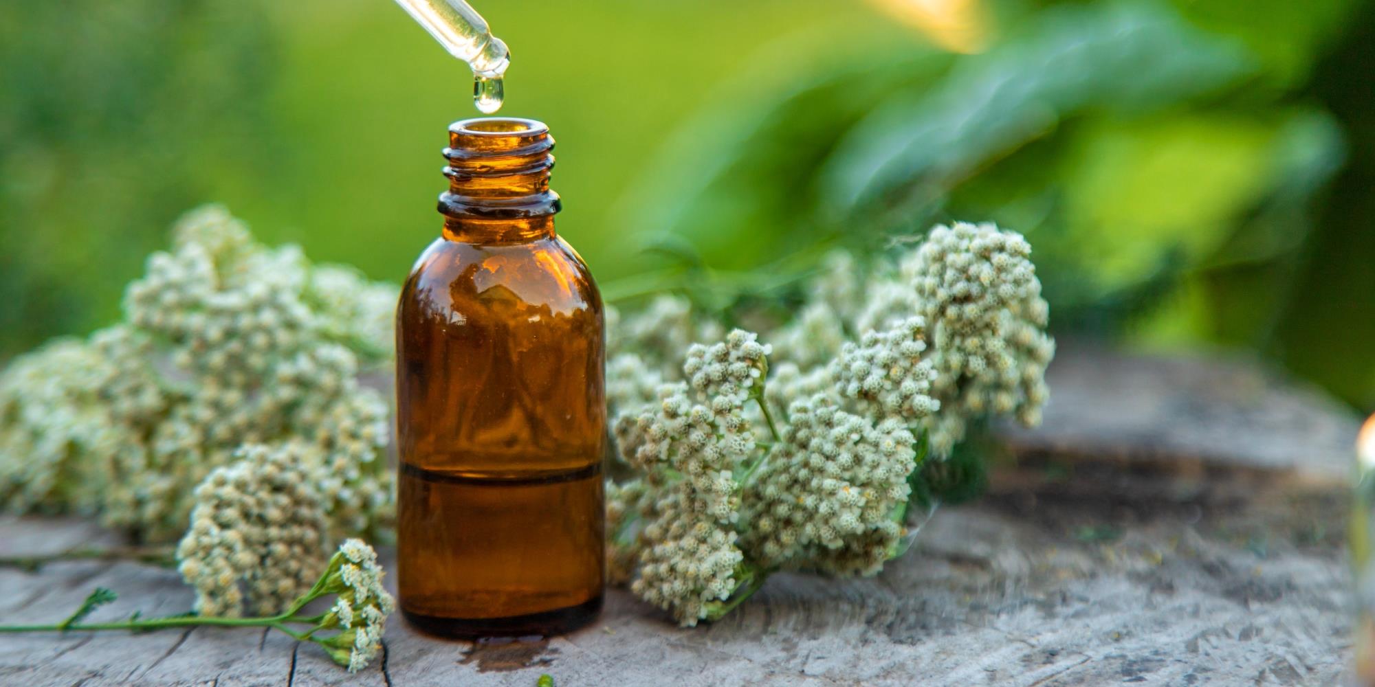 All About Yarrow Flower Essence