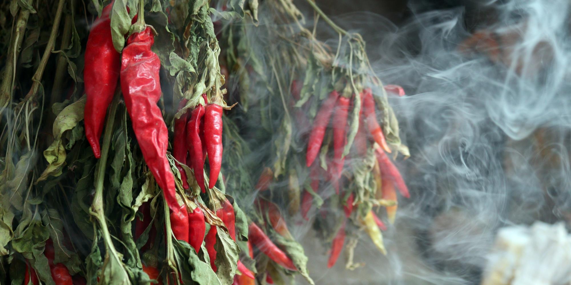 Warming Herbs for Cooler Days: Spice Up Your Health Naturally