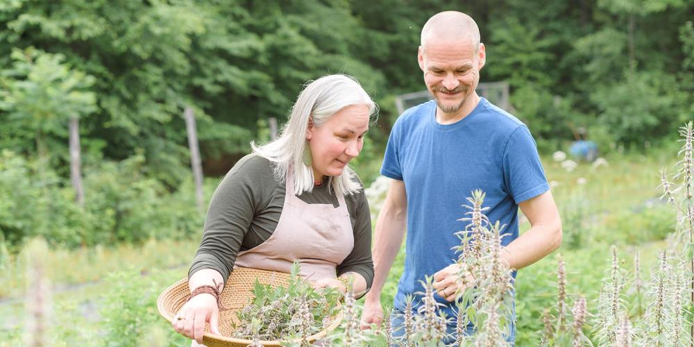Intro to Herbalism Online Course