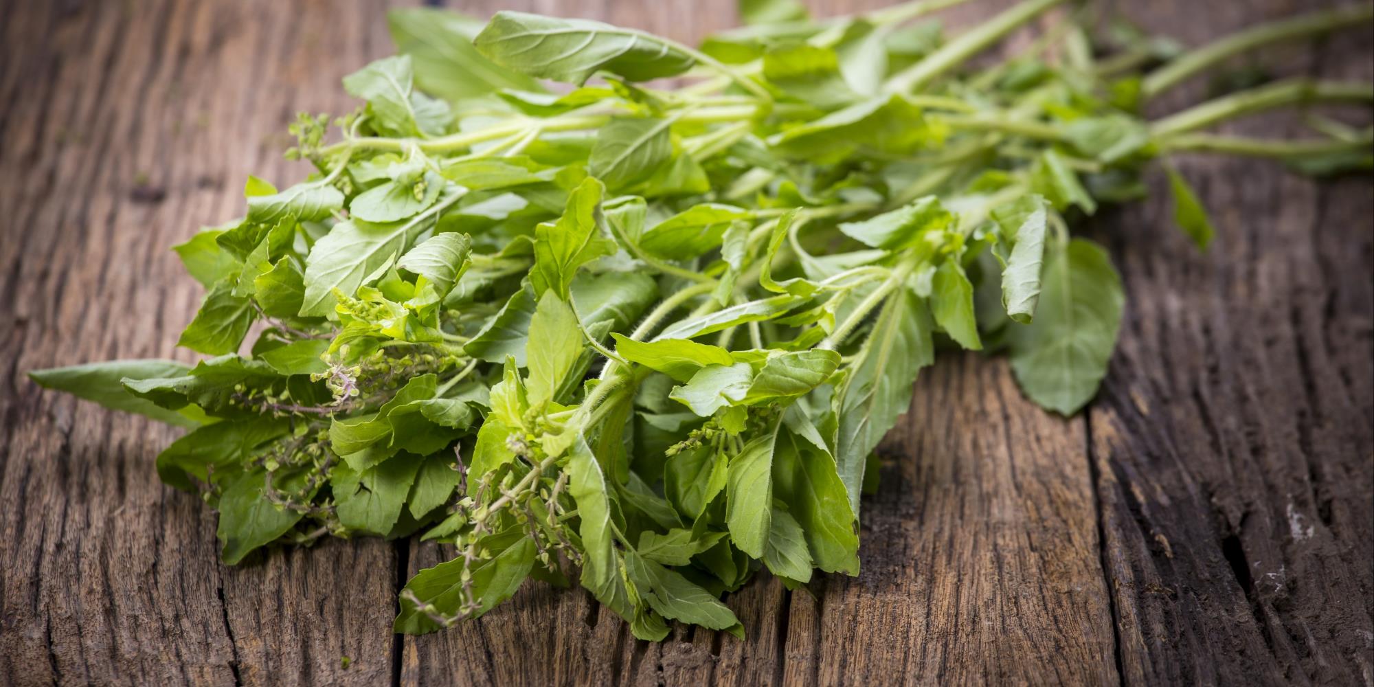 Harvesting the Herbal Abundance of Late Summer