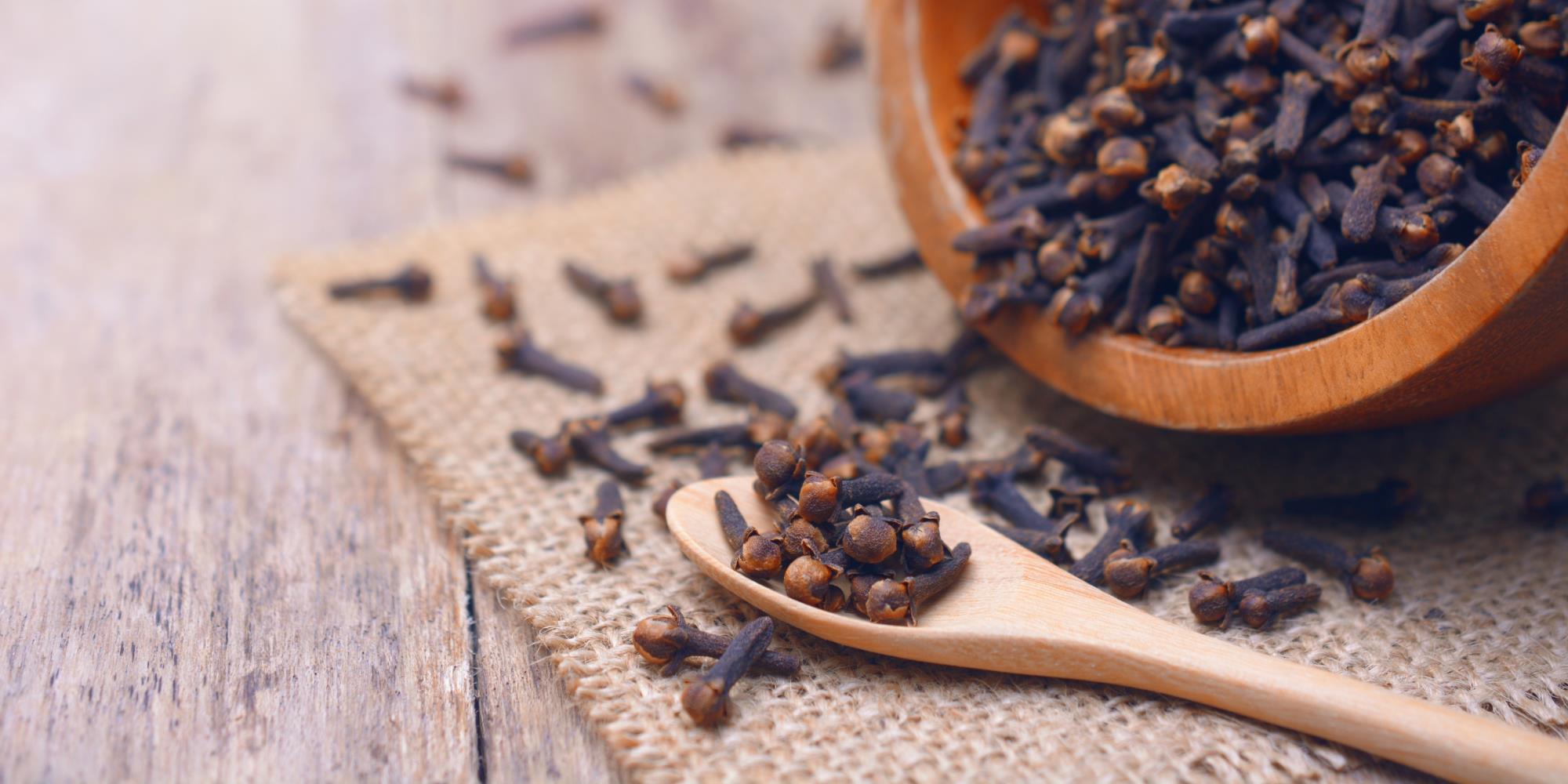Warming Herbs for Autumn: Bringing the Fire Back Within