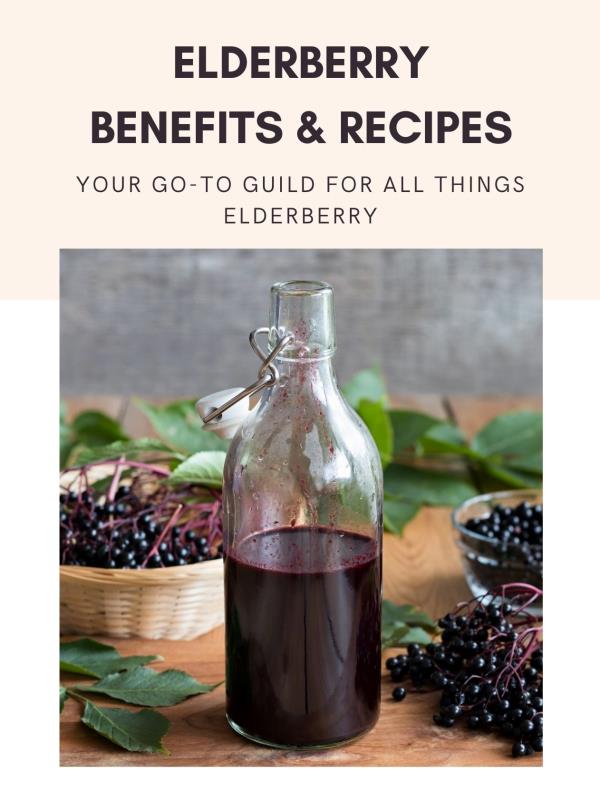 Elderberry Benefits & Recipes