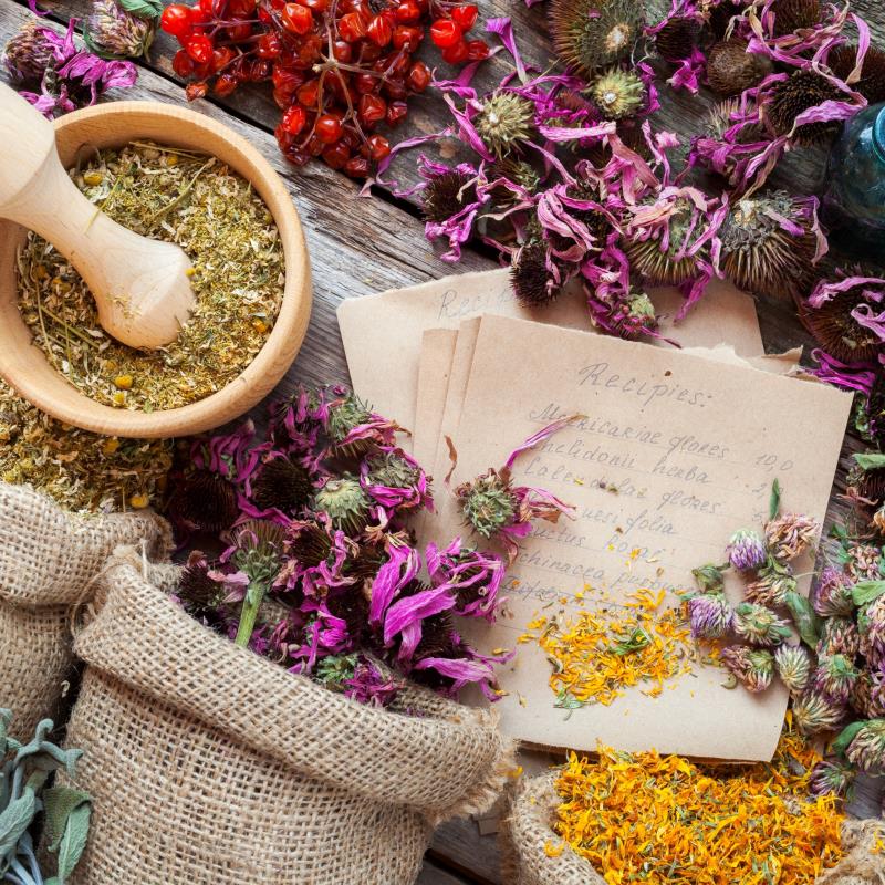 The Herbal Healing Oracle Readings with Toni -  May