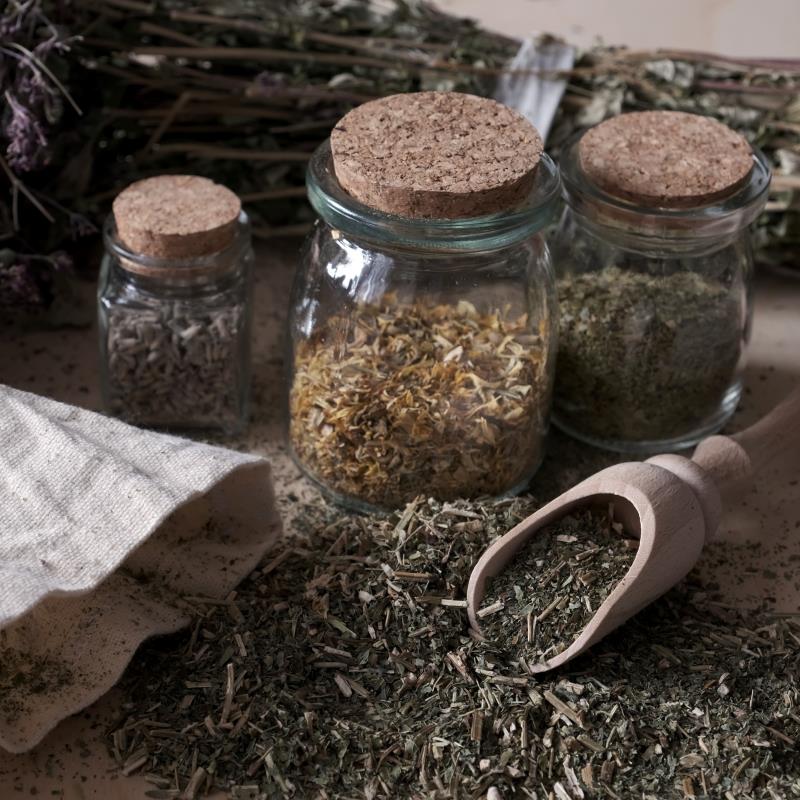 Herbal Spring Tonic Workshop