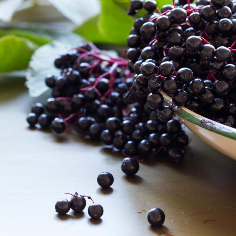 Make Your Own Immunity Oxymel