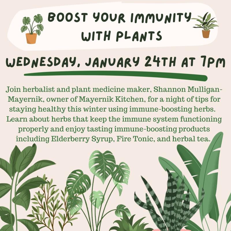 Boost Your Immunity with Plants