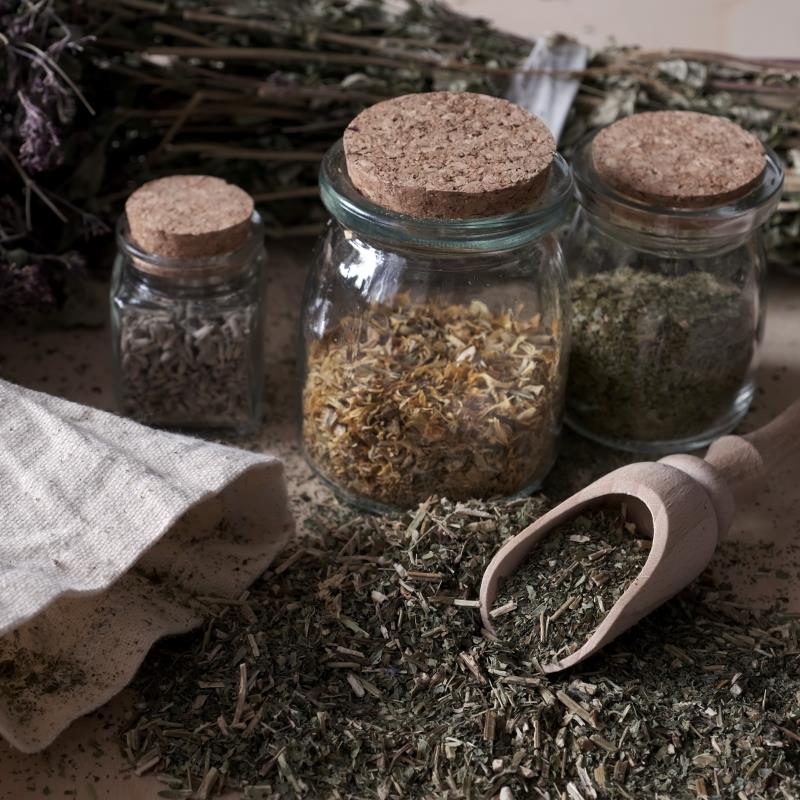 Herbal Spring Tonic Workshop