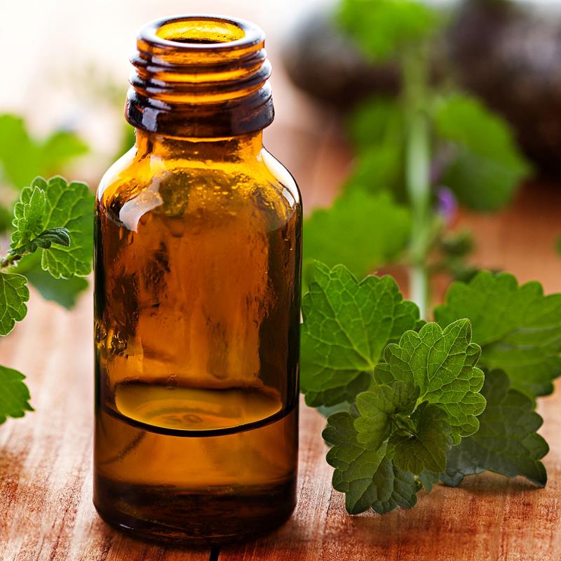 Spring 2024 Tincture Making 101