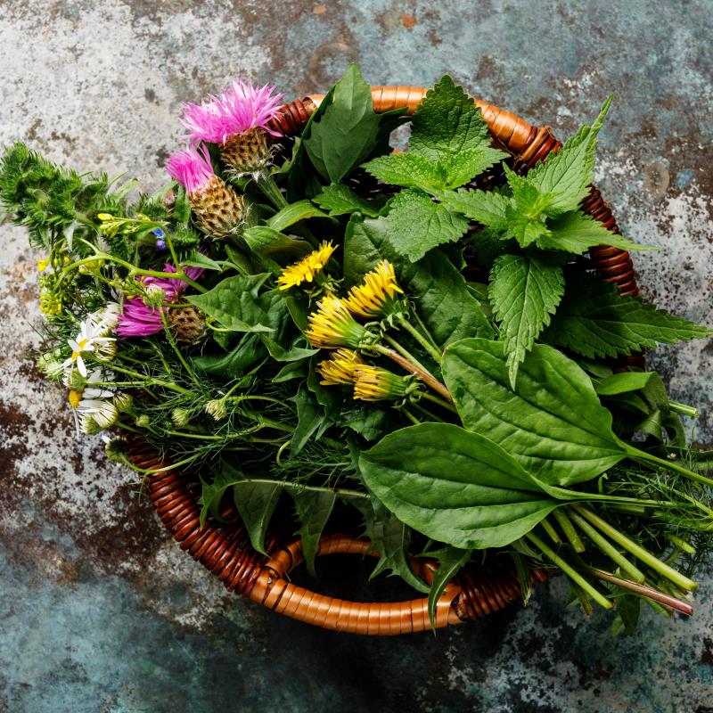 Herbal Tincture Making Class