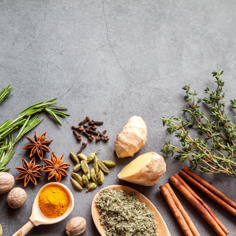 Boost Your Immune System with Herbs