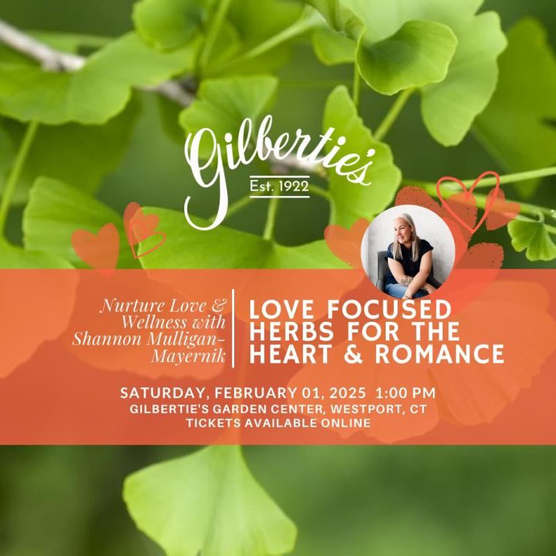 LOVE Focused Herbs - For the Heart & Romance