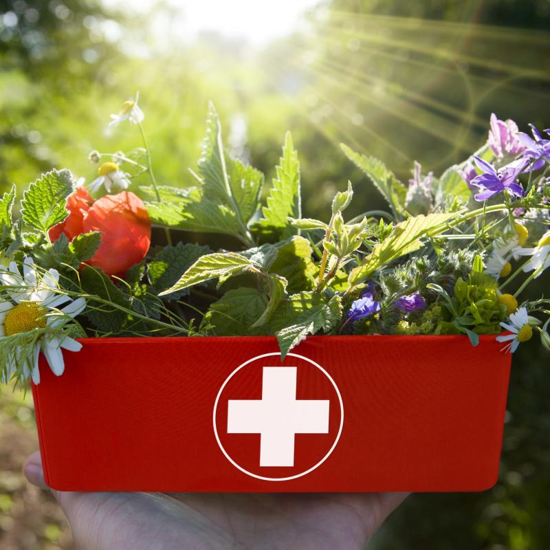 Herbal Tea Blending Workshop