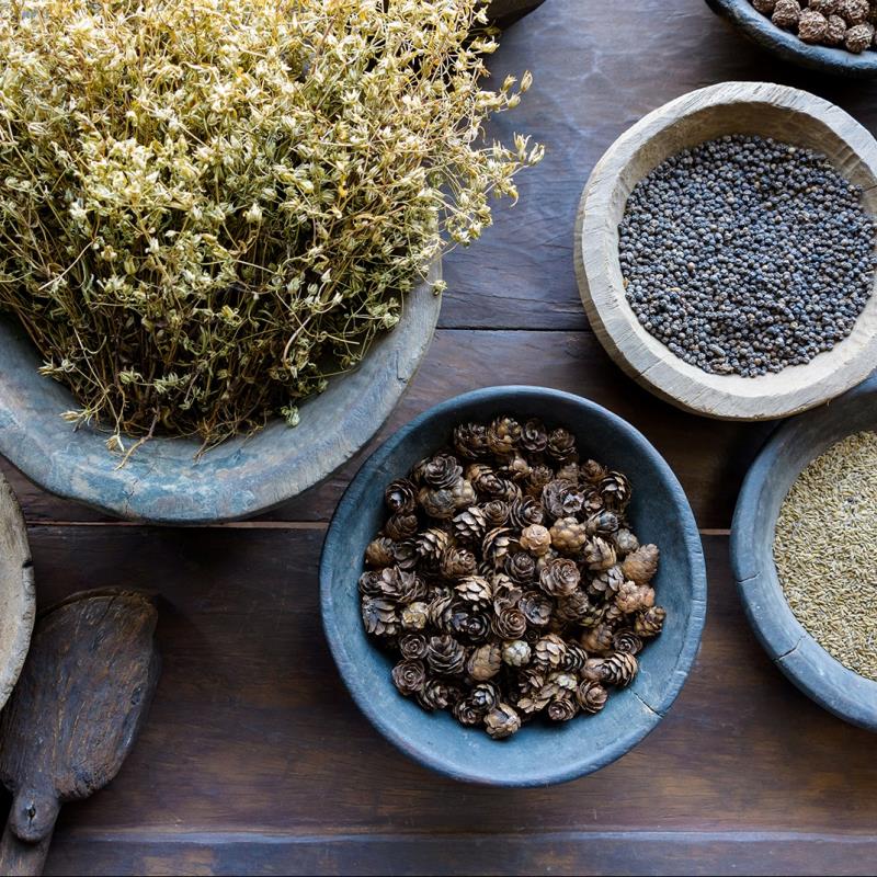 2026 MK 3-Night Herbal Preparation Intensive
