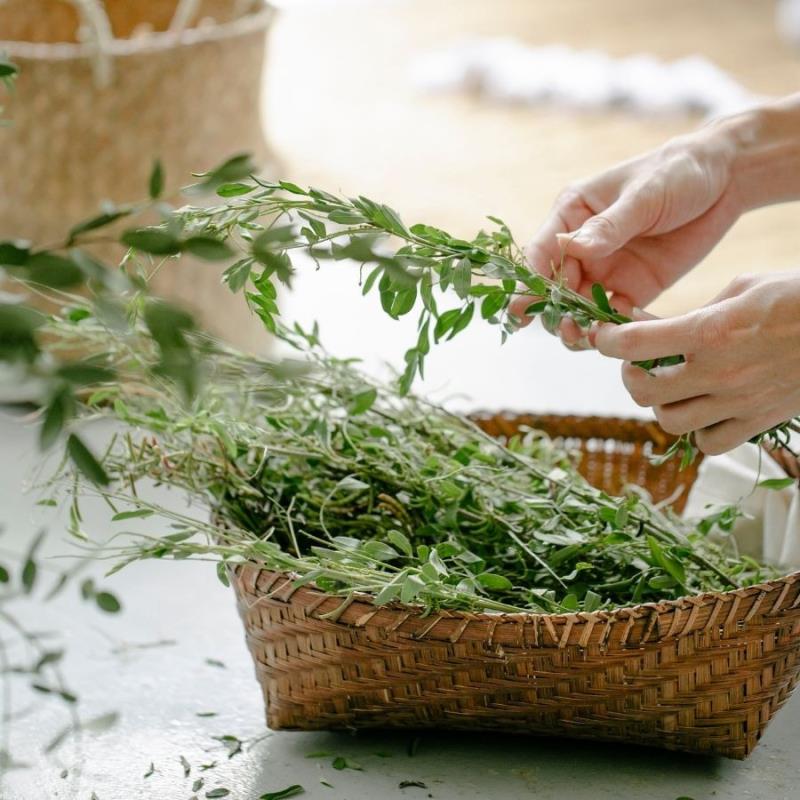 2026 MK 3-Night Herbal Preparation Intensive