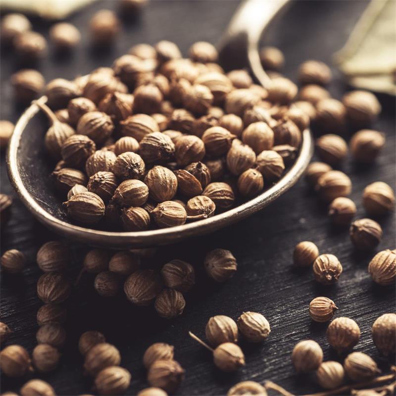 Coriander Seed