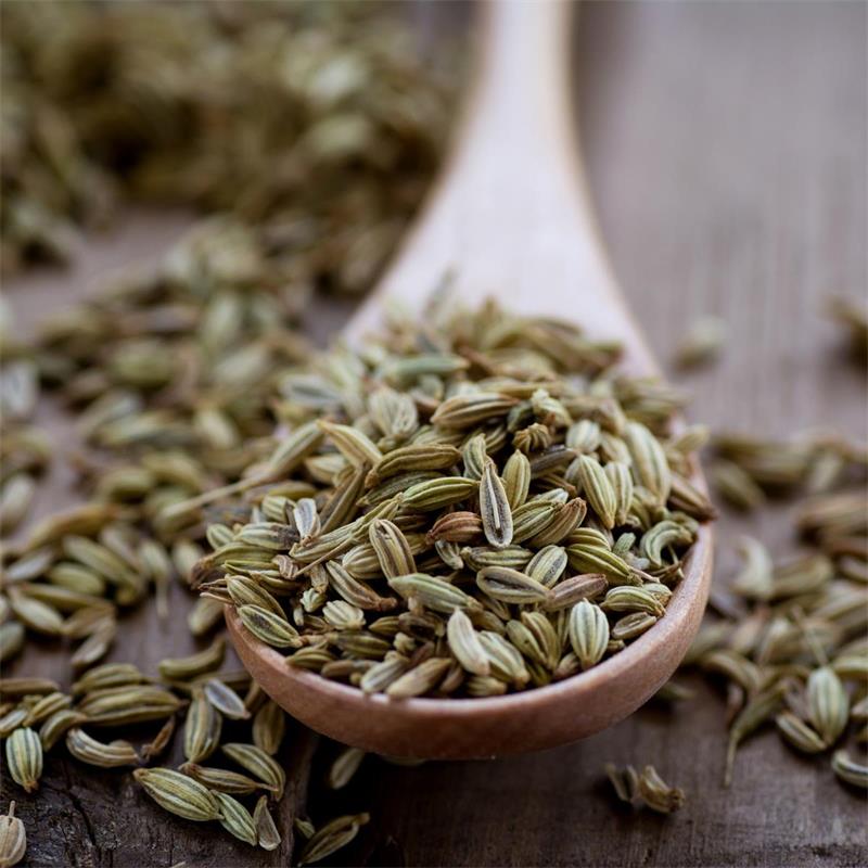 Fennel Seed