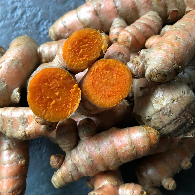 Turmeric, Orange (Curcuma longa)