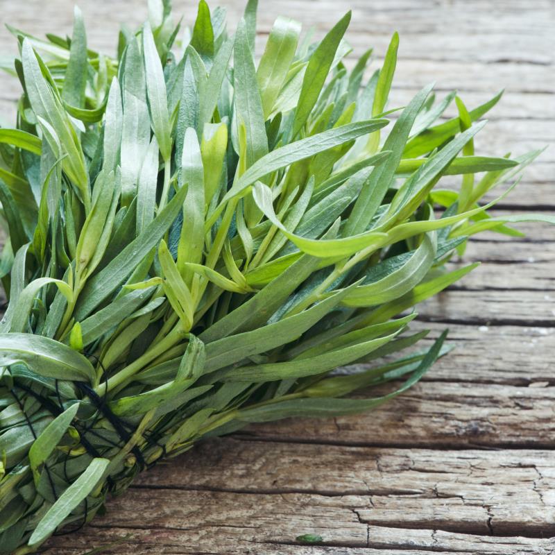 Tarragon