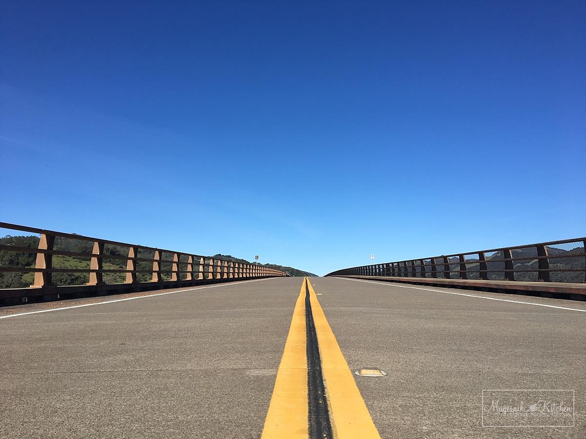 Sonoma County Lake Bridge California 