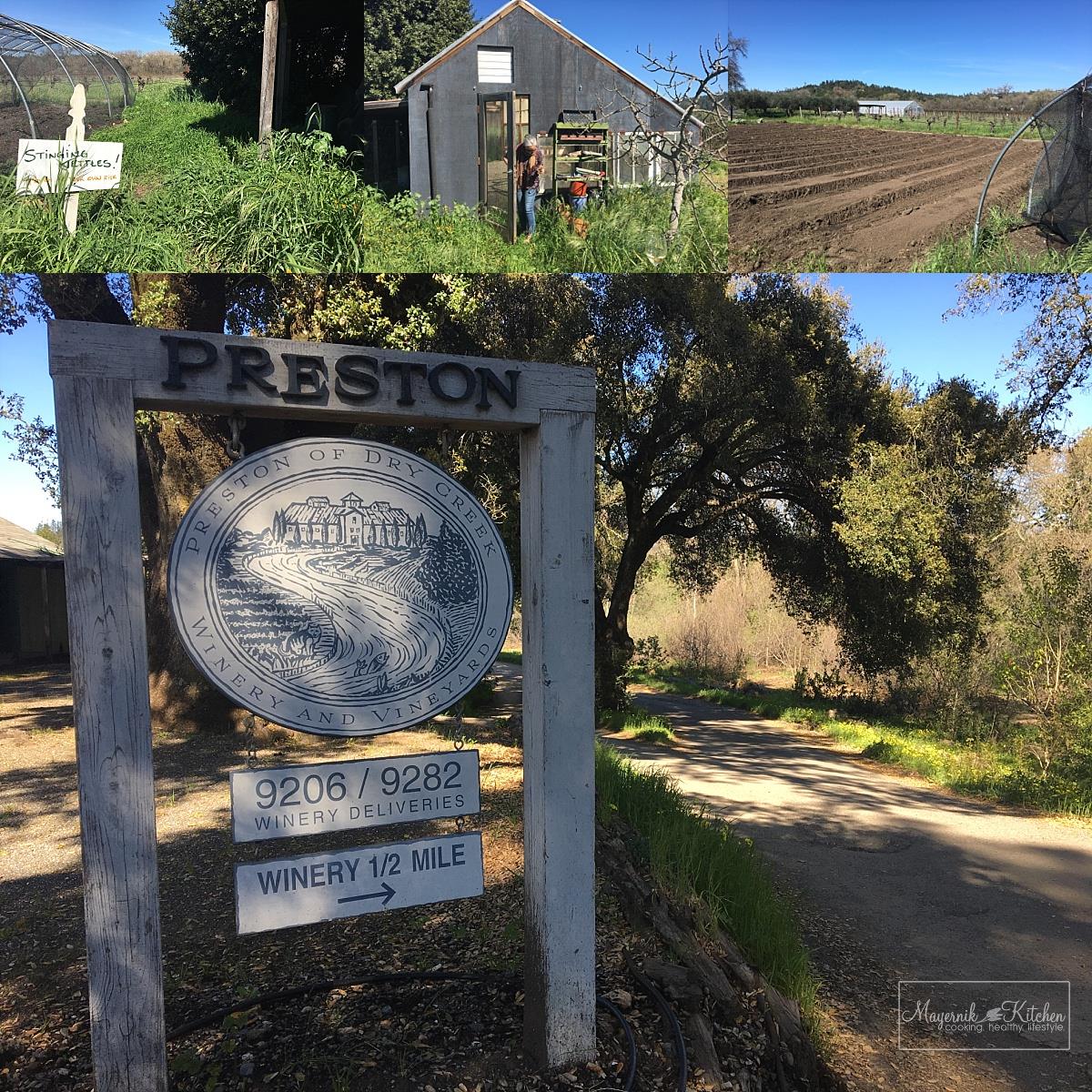 Preston Farm and Winery, Stinging Nettles | Mayernik Kitchen