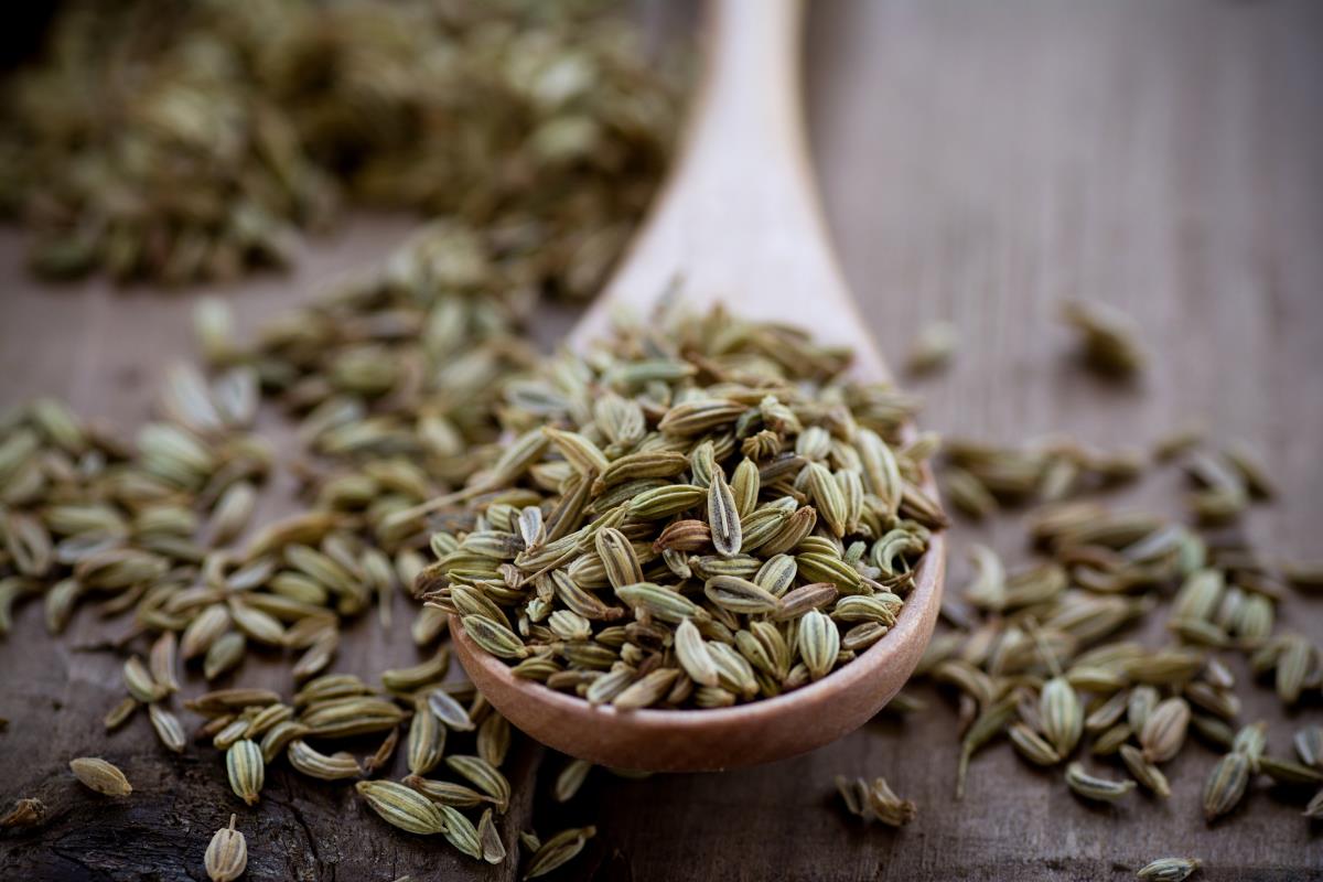 dried fennel seeds in a wood spoon