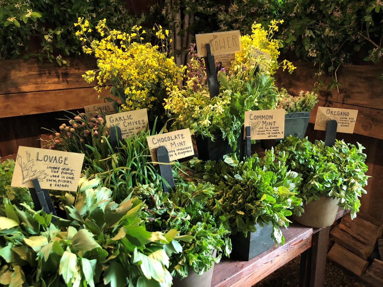 Fresh Herbs at Blooming Hill Farm 