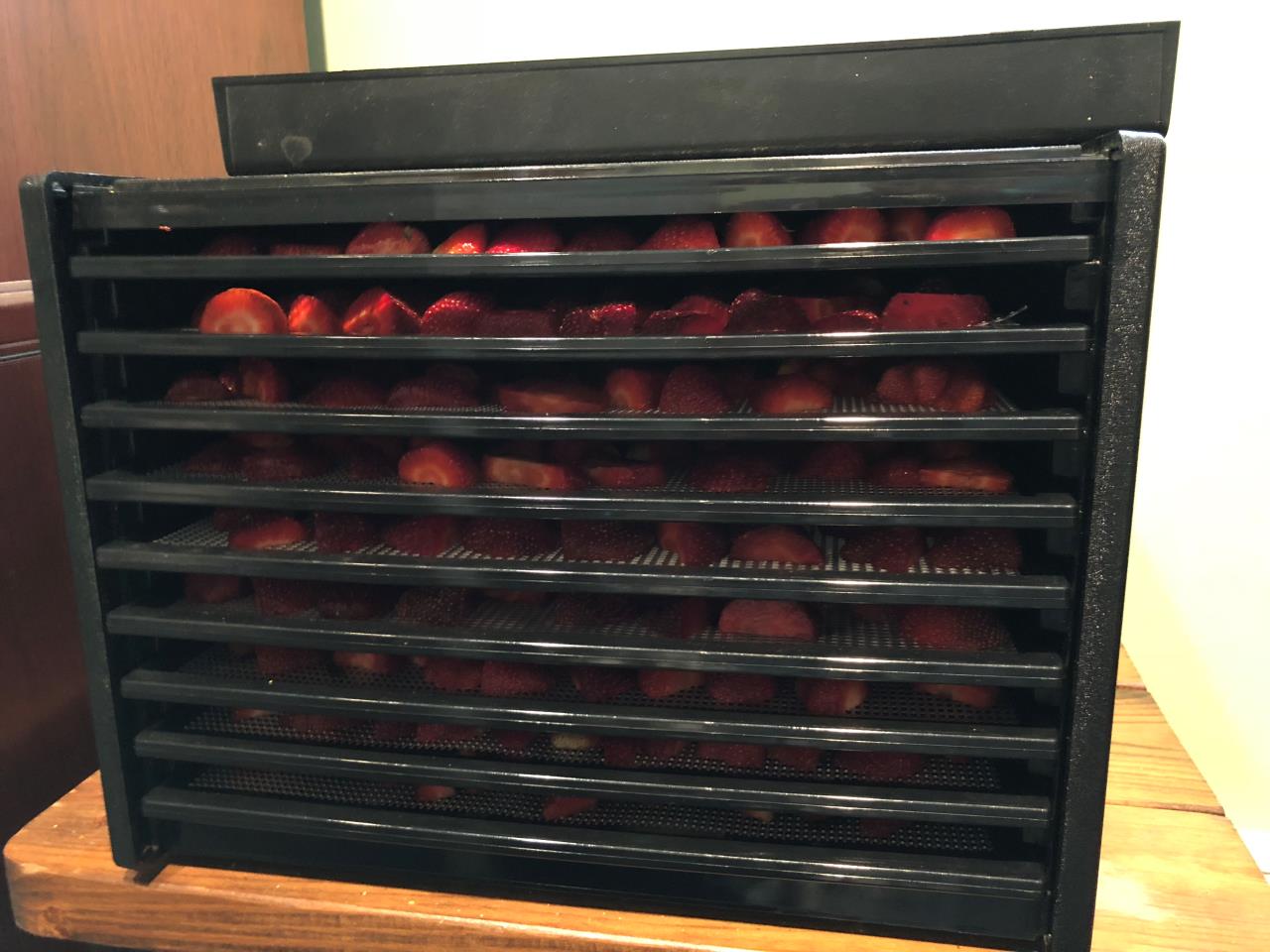 Dehydrating Strawberries - Northern New Jersey 