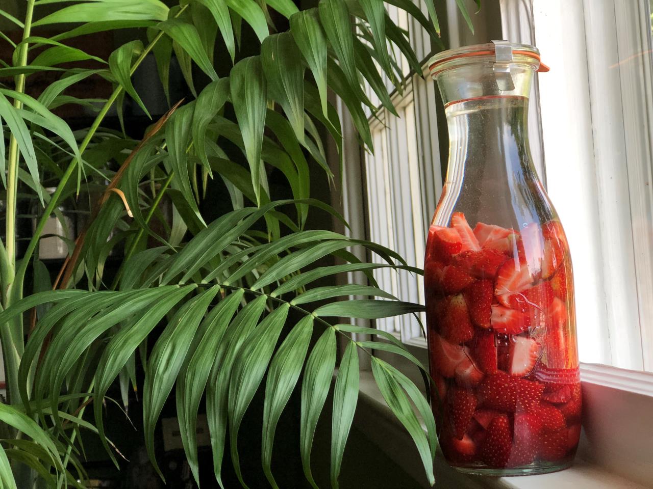 Homemade Strawberry Vodka - New Jersey 