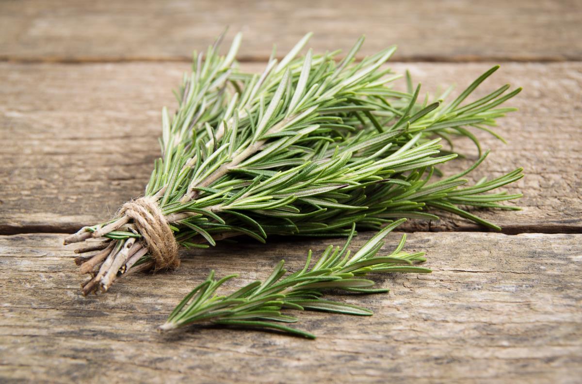 Fresh rosemary bundled on wood table