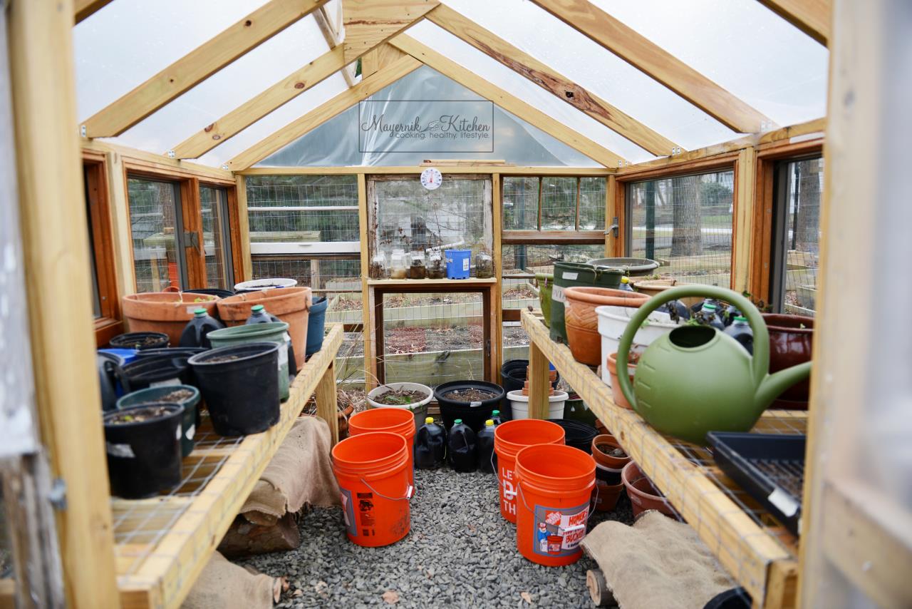 Mayernik Greenhouse - January 2016 - Mayernik Garden 001