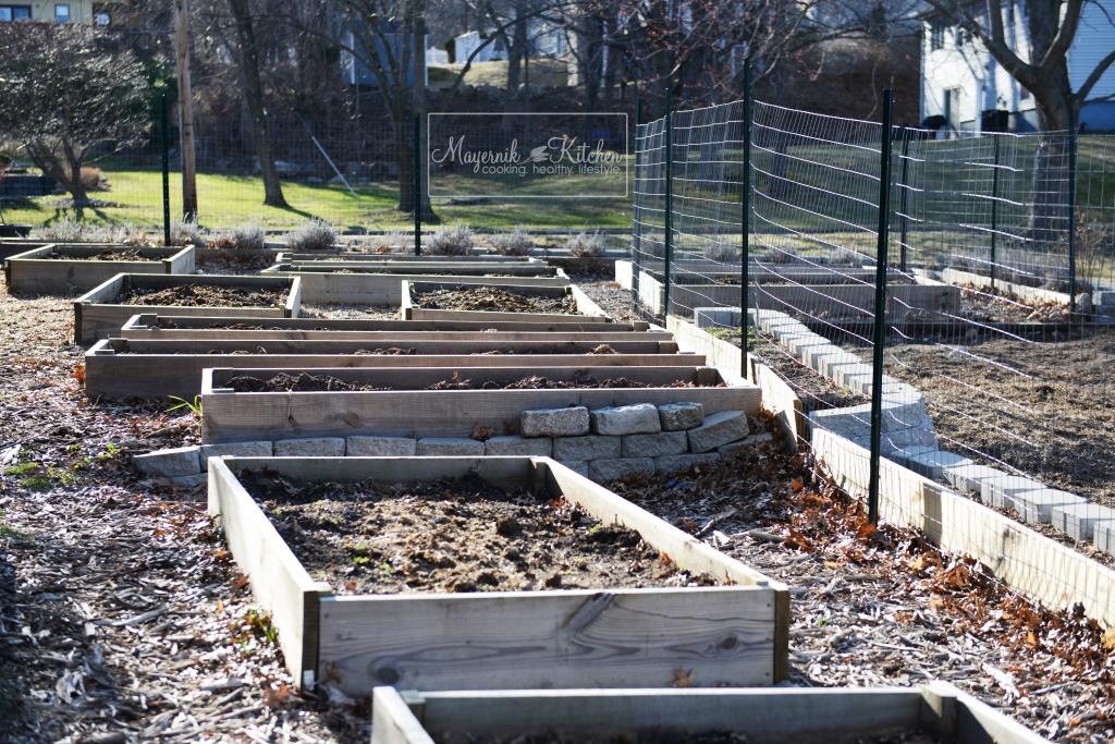 Early Spring Raised Beds - Mayernik Garden 